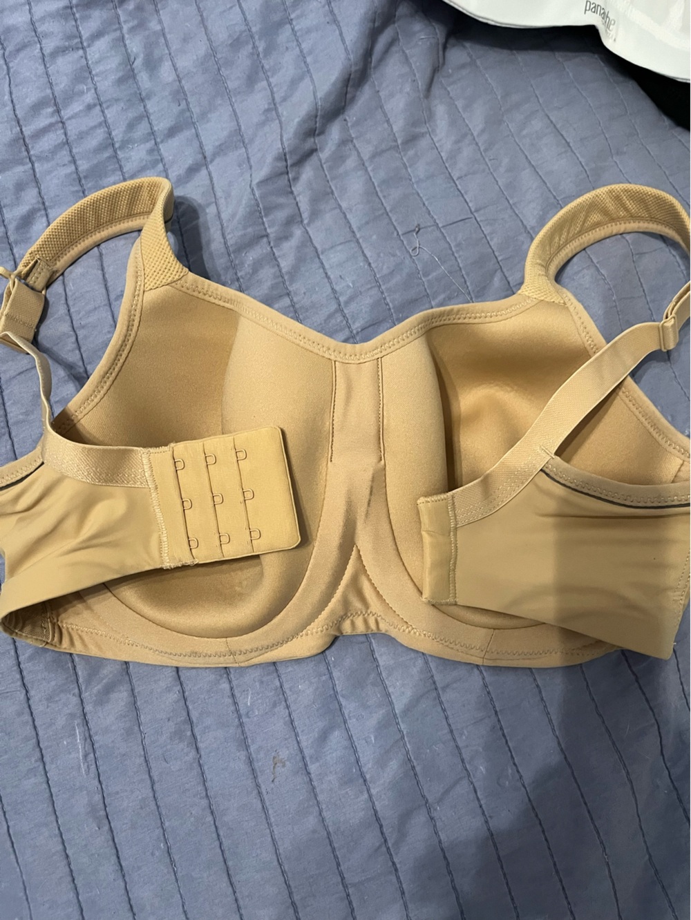 Panache Sport Power 5021 Supportive Sports Bra - Beige - Picture 2 of 3